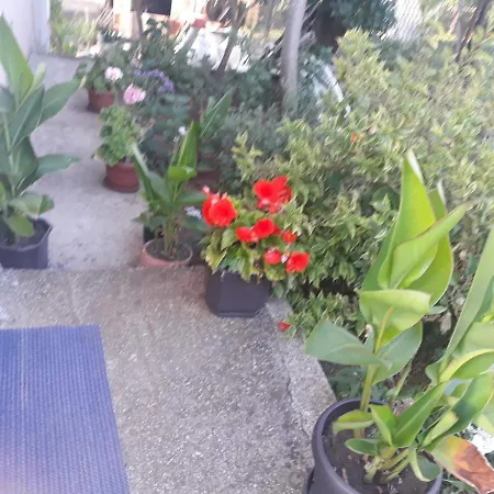 Smestaj Rakovic דירה