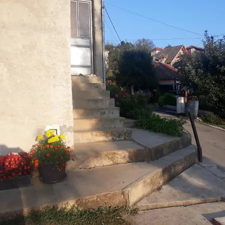 Smestaj Rakovic * Pribojska Banja