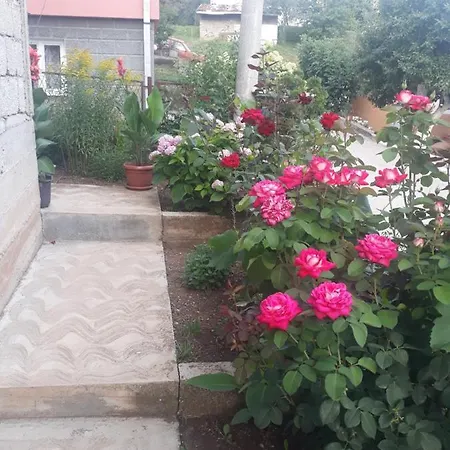 Smestaj Rakovic *