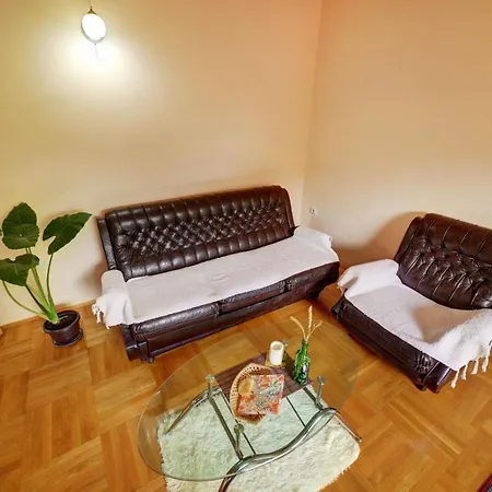 Smestaj Rakovic شقة Pribojska Banja