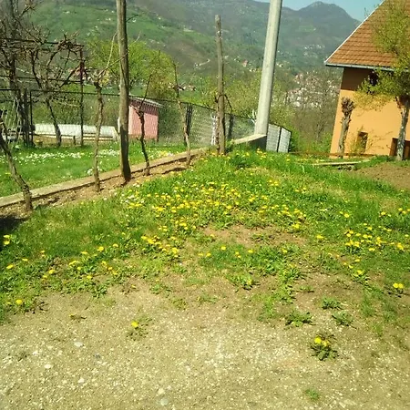 Smestaj Rakovic * Pribojska Banja