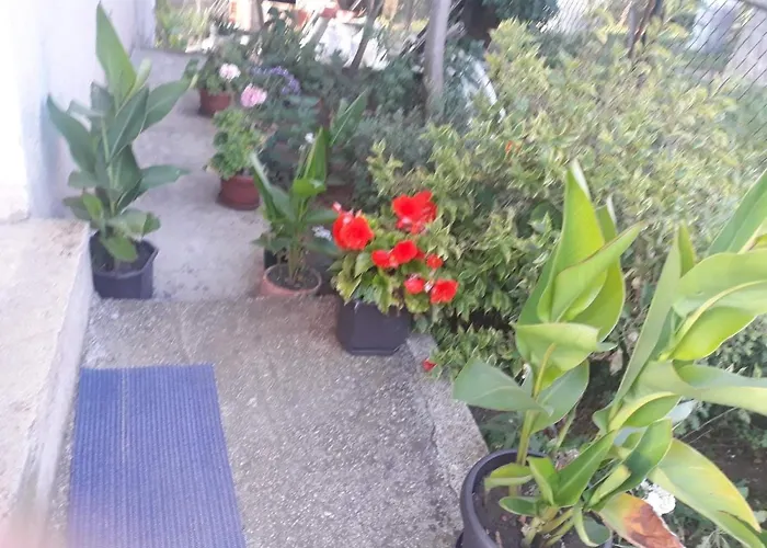 Smestaj Rakovic Appartamento