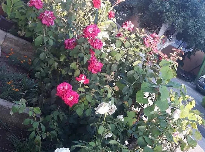 Smestaj Rakovic Pribojska Banja