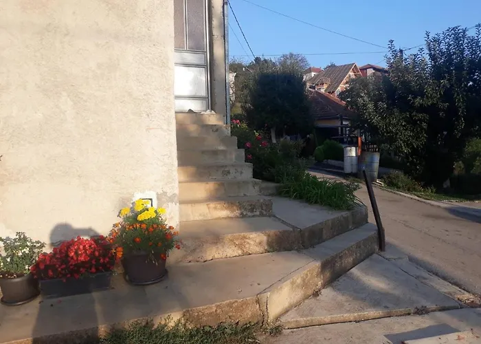 Smestaj Rakovic * Pribojska Banja