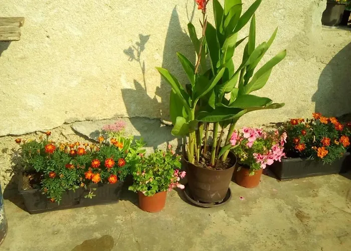 Smestaj Rakovic Appartamento *