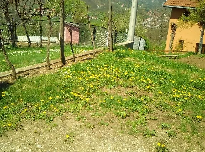 Smestaj Rakovic * Pribojska Banja